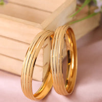 Anamika Bangle (Set of 2 ) Detail